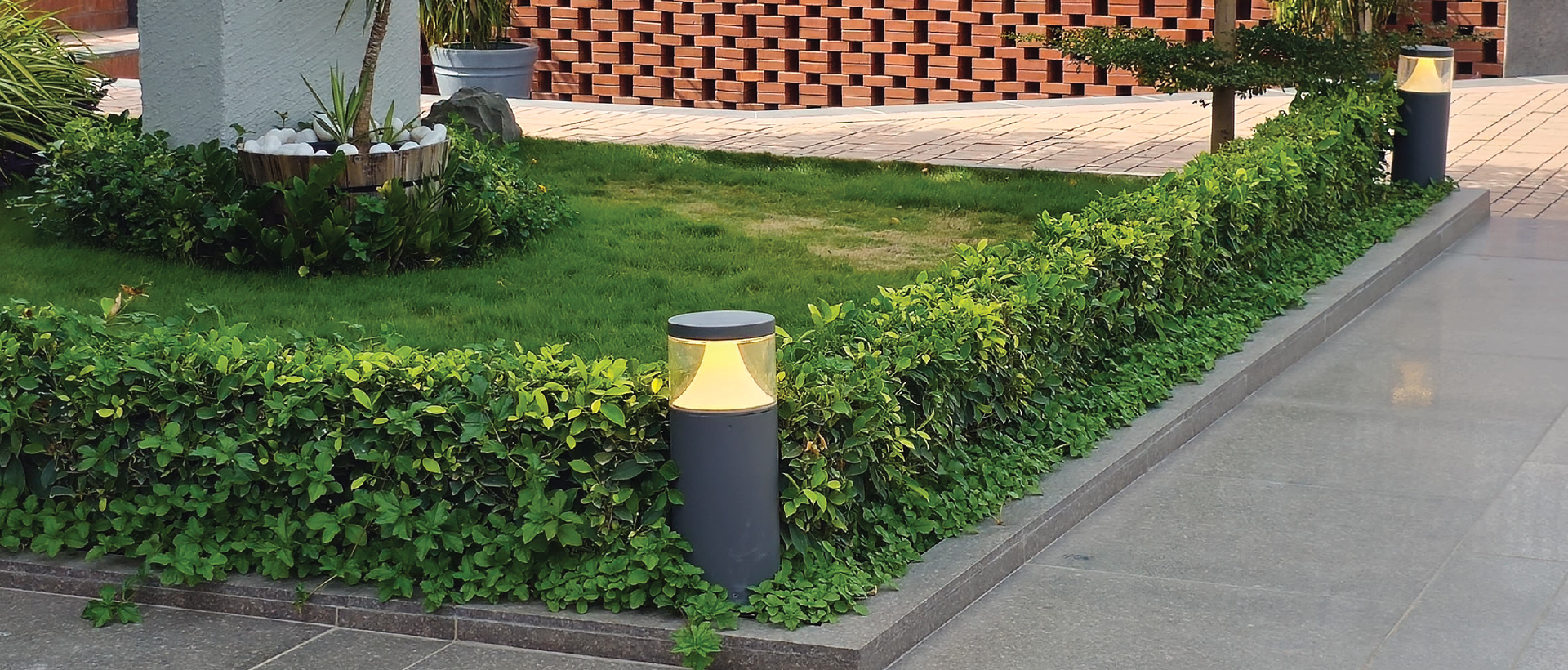 Vera Bollard